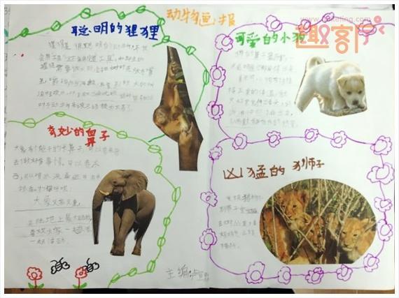 第1页爱护保护动植物手抄报 保护动物手抄报三年级科学植物手抄报