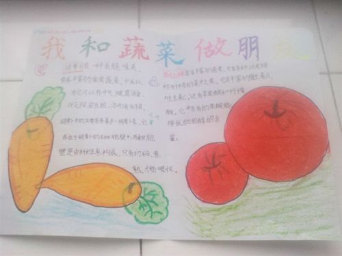 一年级蔬菜手抄报图片 小学生蔬菜手抄报图片 蔬菜手抄报图片大全小