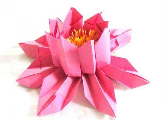 莲花灯的折纸图解与方法教程折纸睡莲许愿灯圣诞节折纸莲花教程折纸
