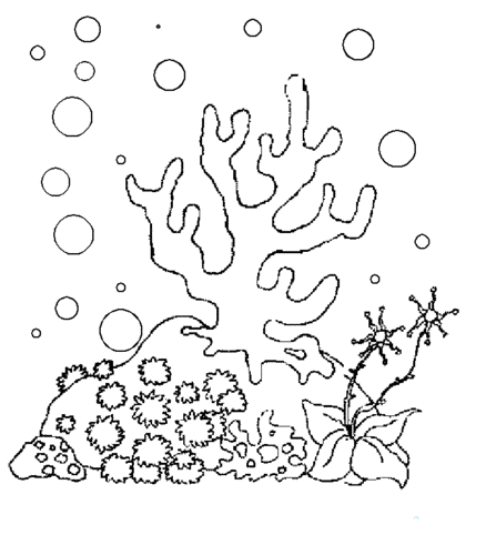 海底珊瑚简笔画 海草图片