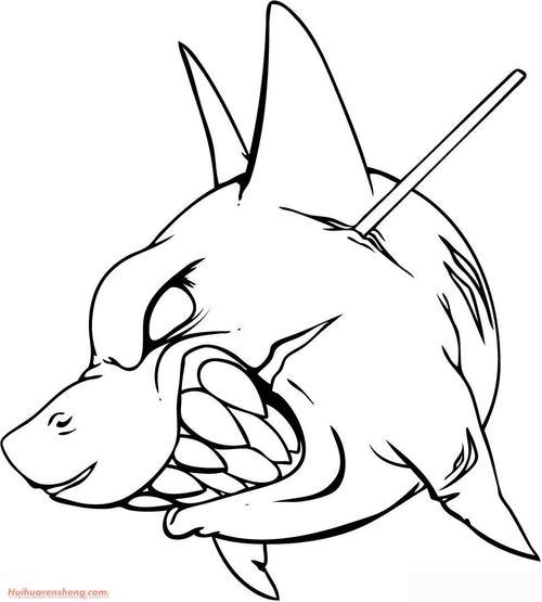 僵尸鲨鱼简笔画图片