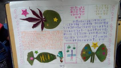 小豆豆们的树叶手抄报秋天树叶手抄报树叶书签手抄报大图植物标本-65