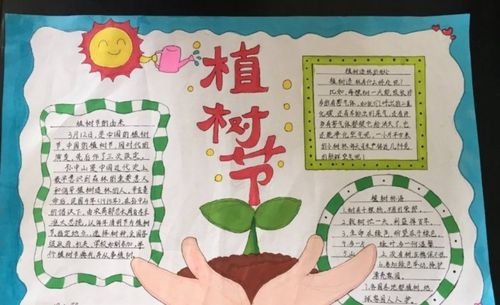 同学通过一张张精美的手抄报把自己对环保的认识都融入其中.