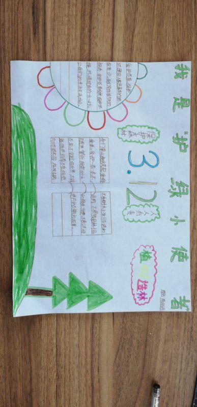 三四五年级的学生以手抄报的形式向我们展示了他们爱绿护绿的决心