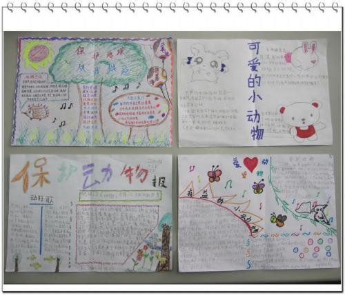 三年级关爱动物的手抄报关于动物的手抄报