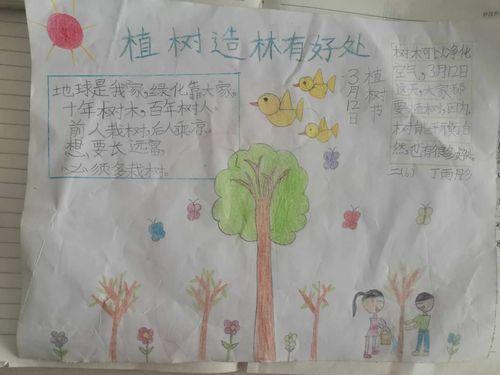 植树节小学五年级手抄报小学五年级手抄报