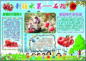 新疆的水果石榴旅游特产电子小报成品植物科普手抄报板报模板396