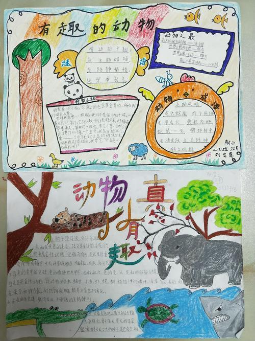 四年级主题动物手抄报 四年级手抄报-蒲城教育文学网