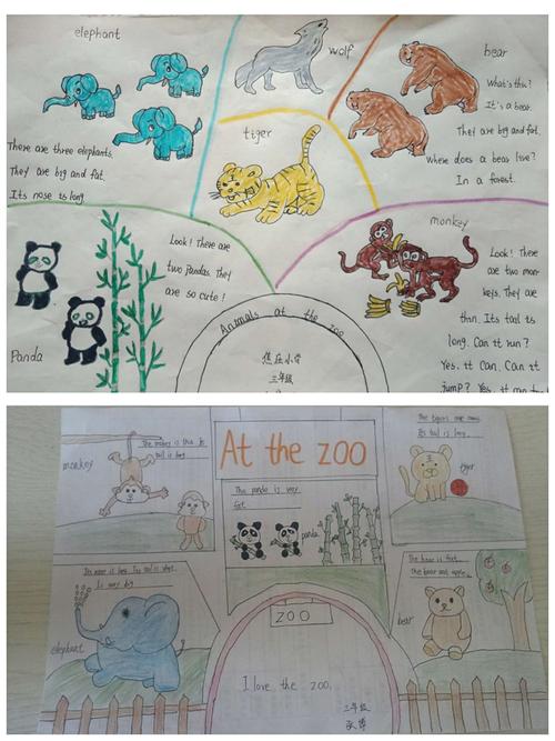 们学习了动物园里的动物制作了手抄报并完成了小作文《at the zoo》