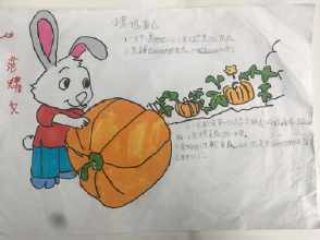 小兔子运南瓜手抄报 关于兔子的手抄报