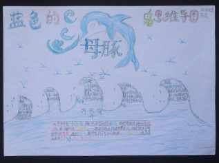 四年级蓝色的海豚岛手抄报 四年级手抄报