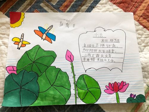 天津美达菲一年二班学生们制作《小池》手抄报表达对大自然的热爱之