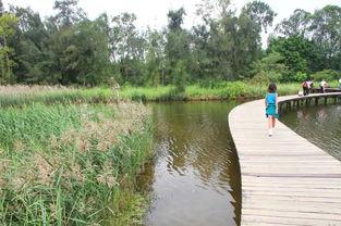 美丽的湿地公园手抄报-在线图片欣赏