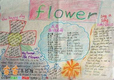 关于介绍各种花的手抄报 花的手抄报-蒲城教育文学网