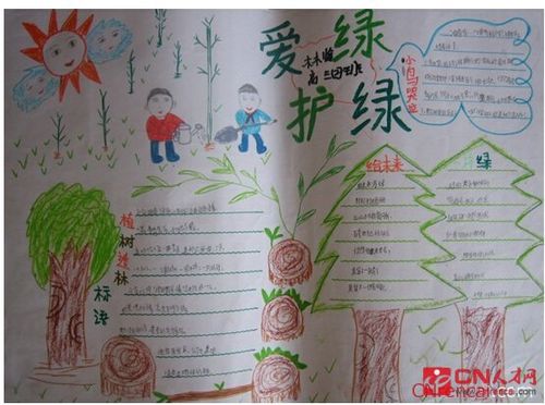 小学生爱绿护绿植树节手抄报图片欣赏设计