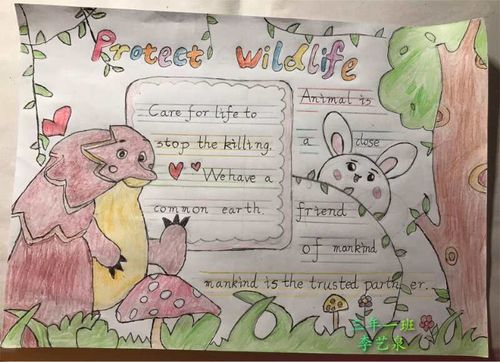 保护动物爱护家园海南昌茂花园学校小学部三年级英语手抄报展.