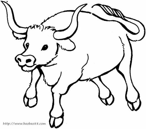 公牛的简笔画简单图片
