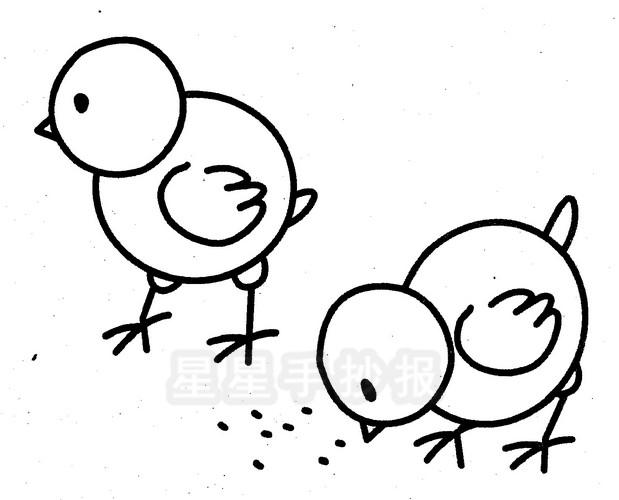 小鸡啄米儿童简笔画