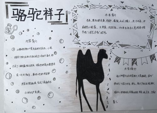 名著阅读孩子们闪光的手抄报《骆驼祥子》作业展示