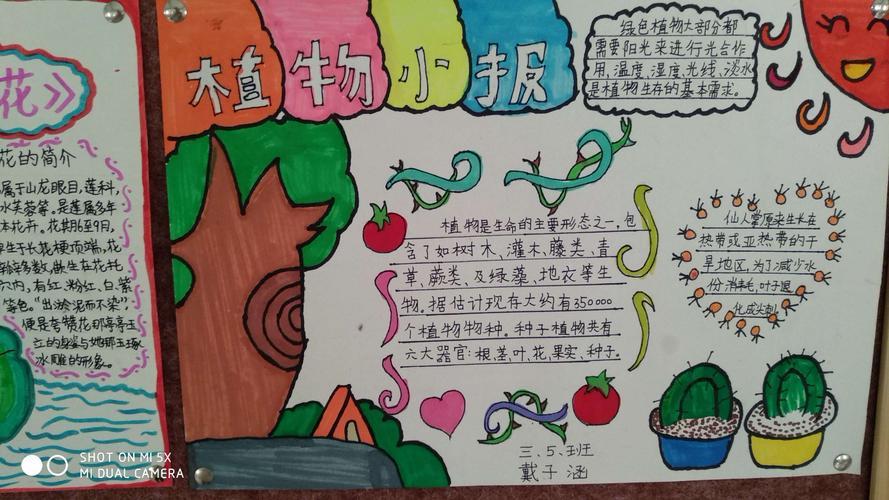走进绿色天地认识植物朋友三年级组植物手抄报展示活动掠影北京植物园