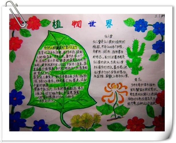的手抄报 1绘画中要画有植物 2要有植物的介绍 3可以提到爱护树木
