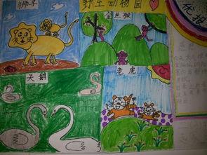 动物园手抄报图片大全搜索动物园手 推荐阅读 小学一年级绘画手抄报