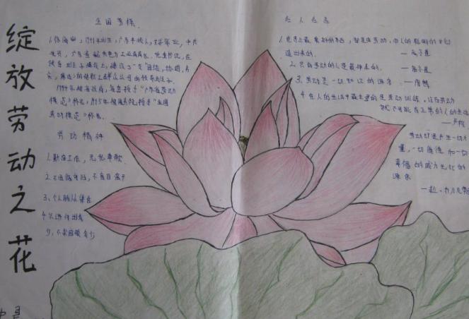 关于花的手抄报 关于花的手抄报大全简单又漂亮