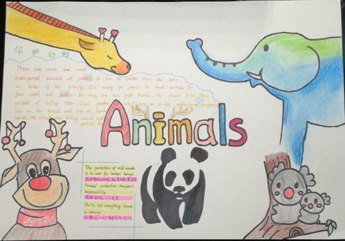 六年级英语关于动物的手抄报六年级英语手抄报