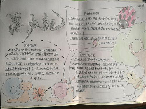关于昆虫记和红星照耀中国手抄报昆虫记手抄报