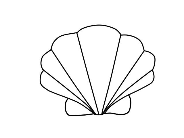 贝壳的简单画法图片