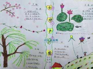 小学五年级手抄报copyright 0822 蒲城教育文学网www
