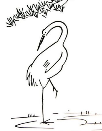 单脚站立的鸟简笔画