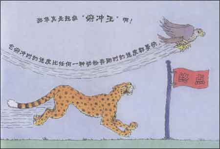 小学绘画猎豹的手抄报小学手抄报