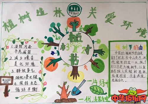 小学生植树节手抄报图片植树造林关爱环境