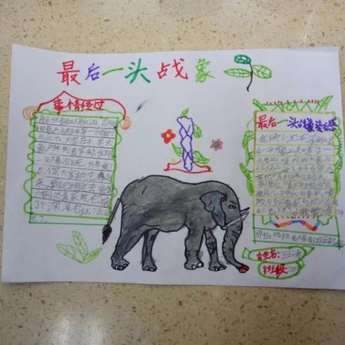 关于大象的英语手抄报 关于英语手抄报