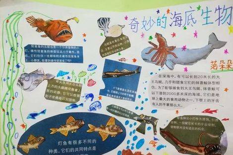 青岛南京路小学海洋教育系列活动海洋知识手抄报分享会