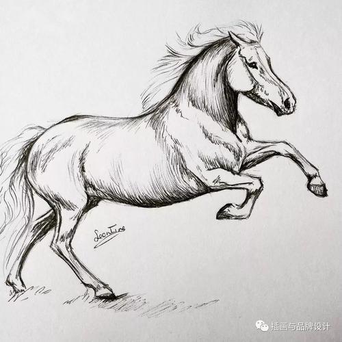 马奔跑简笔画6