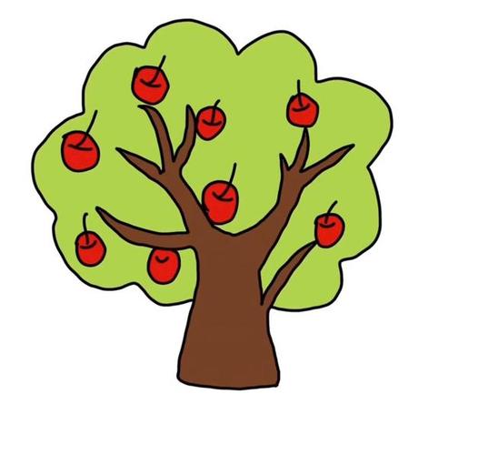 苹果树成长过程绘画图图片