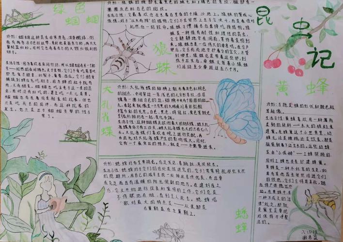 书写生活 描绘生命记八年级全体学生《昆虫记》手抄报成果评比