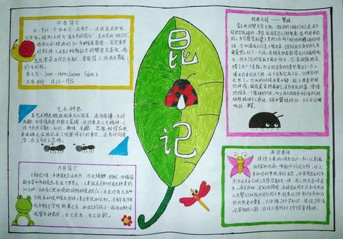 惠济六中书香四溢读书分享绘制《昆虫记》手抄报