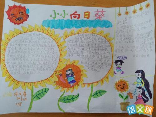 美丽的向日葵的手抄报版面设计图