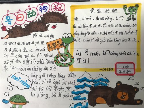 李泊桥小朋友用手抄报的形式将动物冬眠的原因记录下来图文并茂