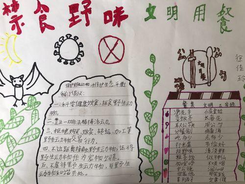 文明用餐筷乐在行动上饶市第二十小学文明用餐手抄报实践活动