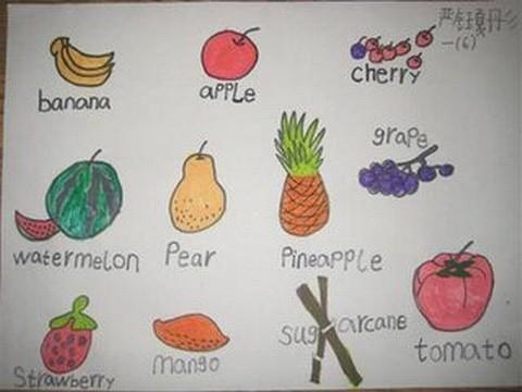 英语关于fruit的手抄报英语英语手抄报