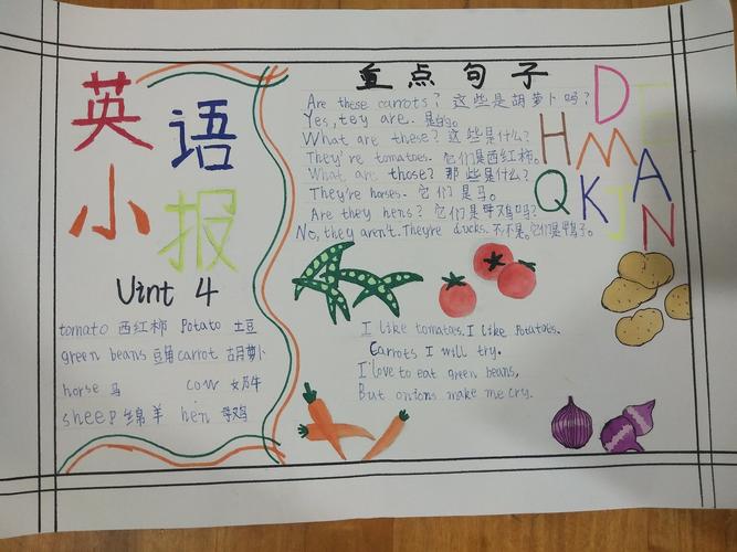 四年级英语手抄报大赛 写美篇  四年级的同学们进行了