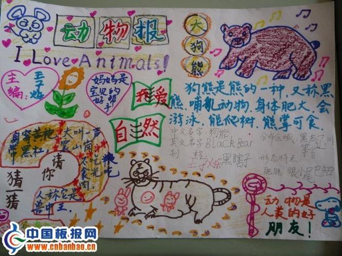 关于动物的手抄报图片生物手抄报中国板报网