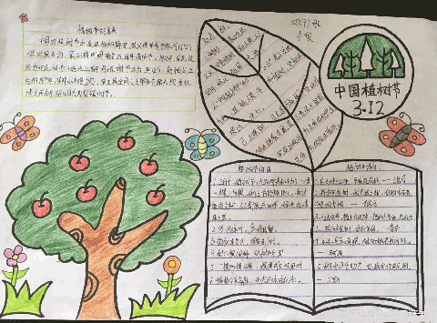 绿色的植树节图画植树节的手抄报植树节的手抄报bj塔塔 一二年级手