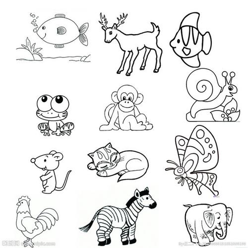 濒危动物简笔画 手绘图片