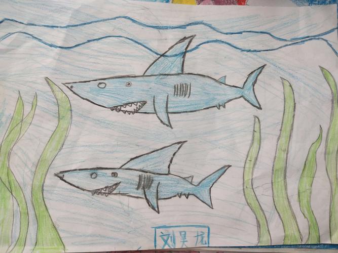 二年级四班主题为鱼的手抄报作品