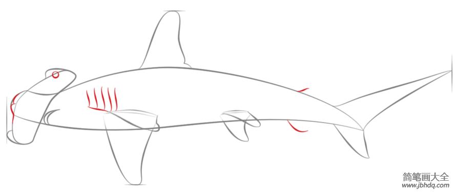 怎样画凶猛的巨齿鲨图片